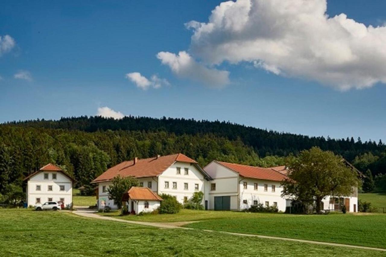 Апартаменти Der Breinhof - Euer Urlaubsbauernhof Вальдкірхен Екстер'єр фото